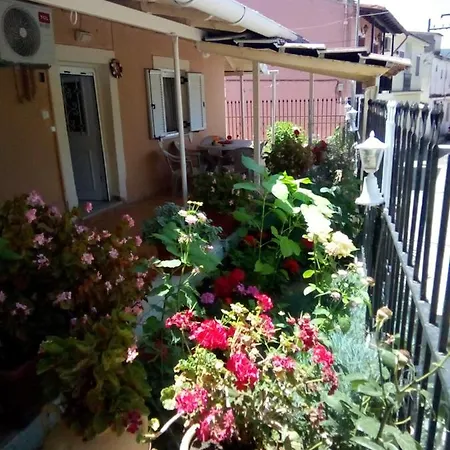 Angela, Traditional In The Village * 阿基奥斯·伊奥尼斯·佩里斯特